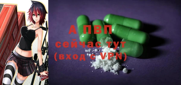 PSILOCYBIN Покров