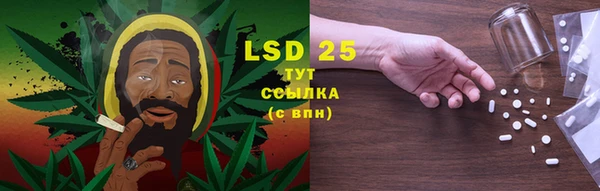 PSILOCYBIN Покров