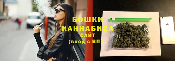 PSILOCYBIN Покров