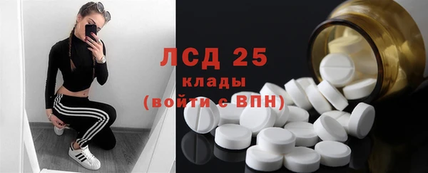 PSILOCYBIN Покров