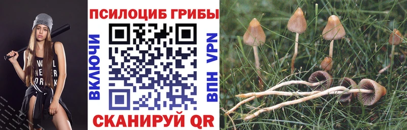 Псилоцибиновые грибы MAGIC MUSHROOMS  Черняховск 